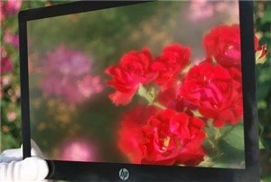 کوئی چمک کے ساتھ شیشہ